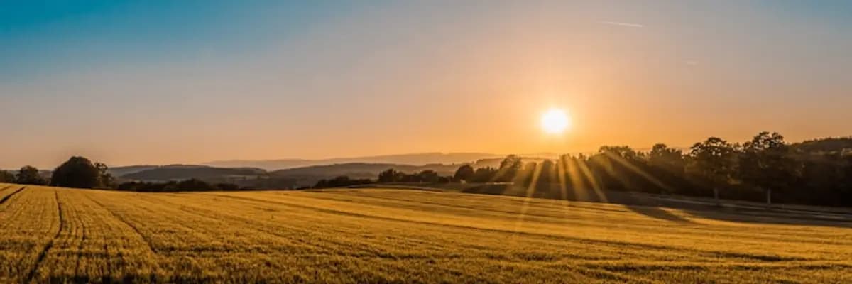 Agriculture Allied Sector banner