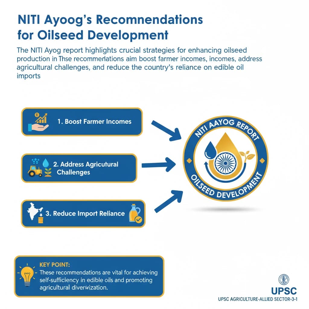 What are the Recommendations of the NITI Aayog Report?