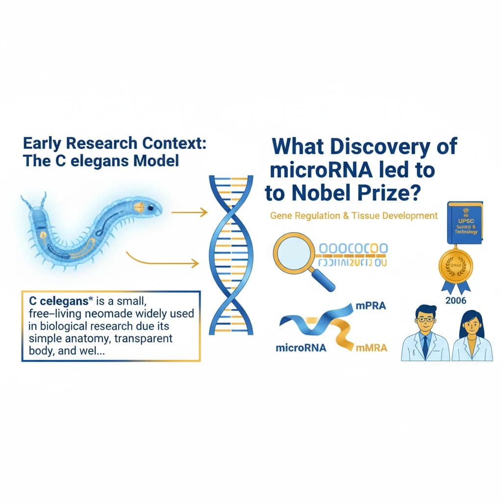 What Discovery of microRNA led to the Nobel Prize?