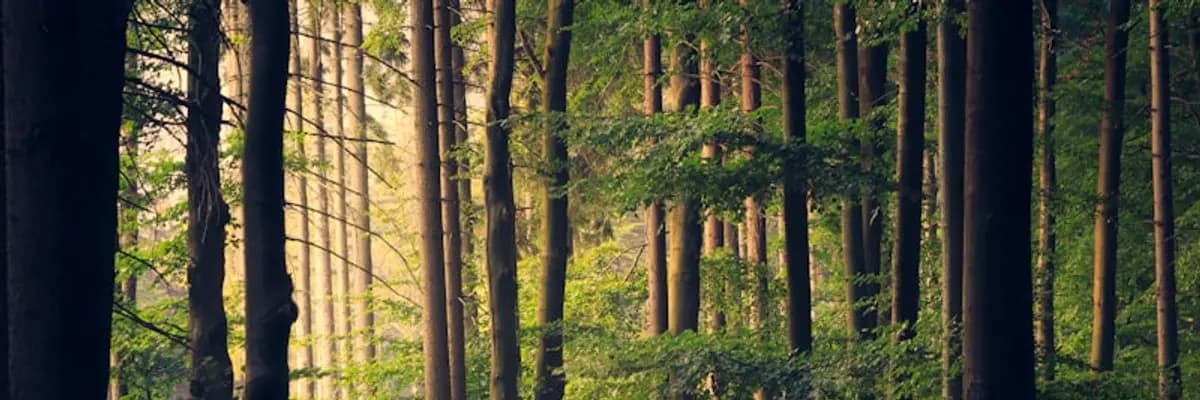 Environment And Ecology banner